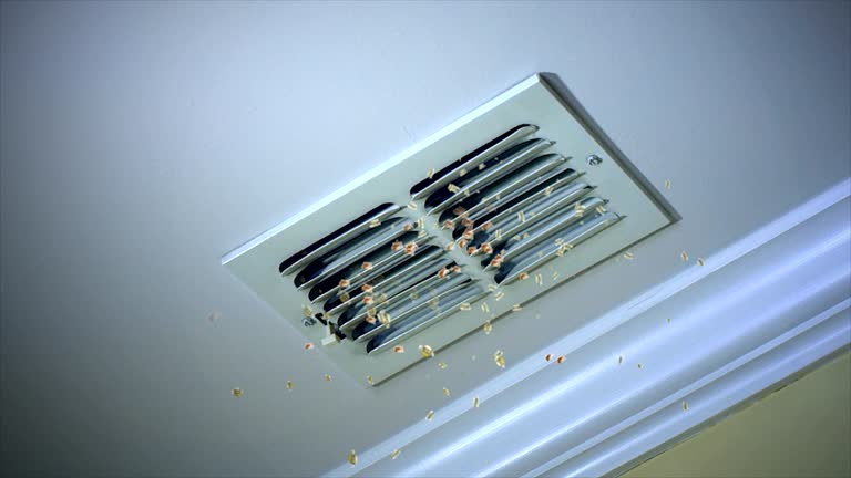 Best Air Vent Cleaning Services  in Round Lake Park, IL