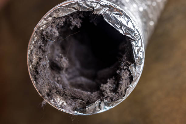 Best Air Duct Cleaning Near Me  in Round Lake Park, IL