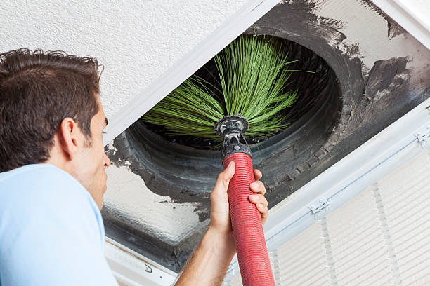 Best Residential Air Duct Cleaning  in Round Lake Park, IL